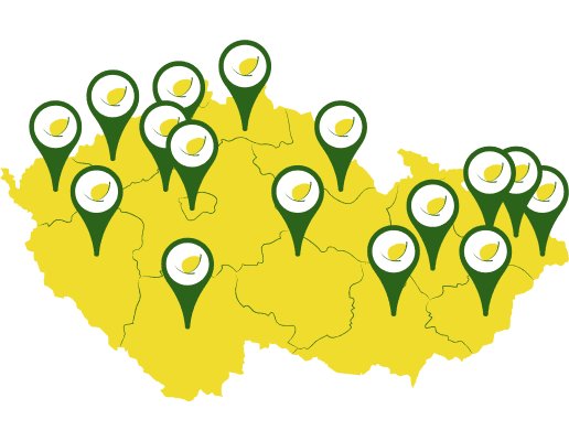 Where to Eat Jackfruit in the Czech Republic: Restaurants and Bistroscover