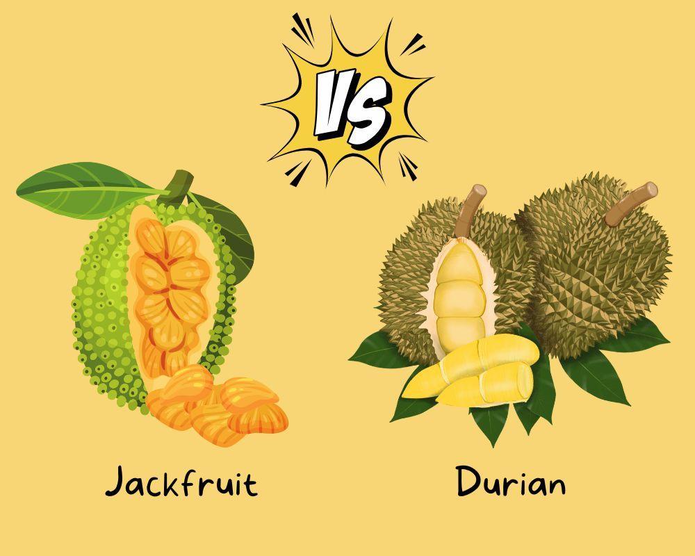 Jackfruit vs. Durian: What’s the Difference and Why Do People Mix Them Up?cover