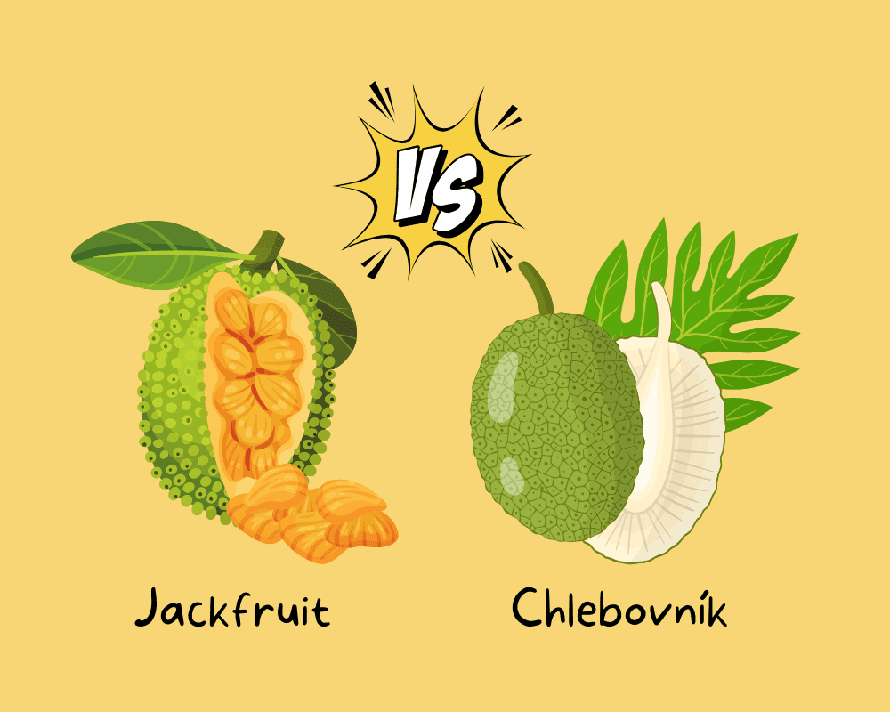 Jackfruit vs. Breadfruit: What’s the Difference?cover