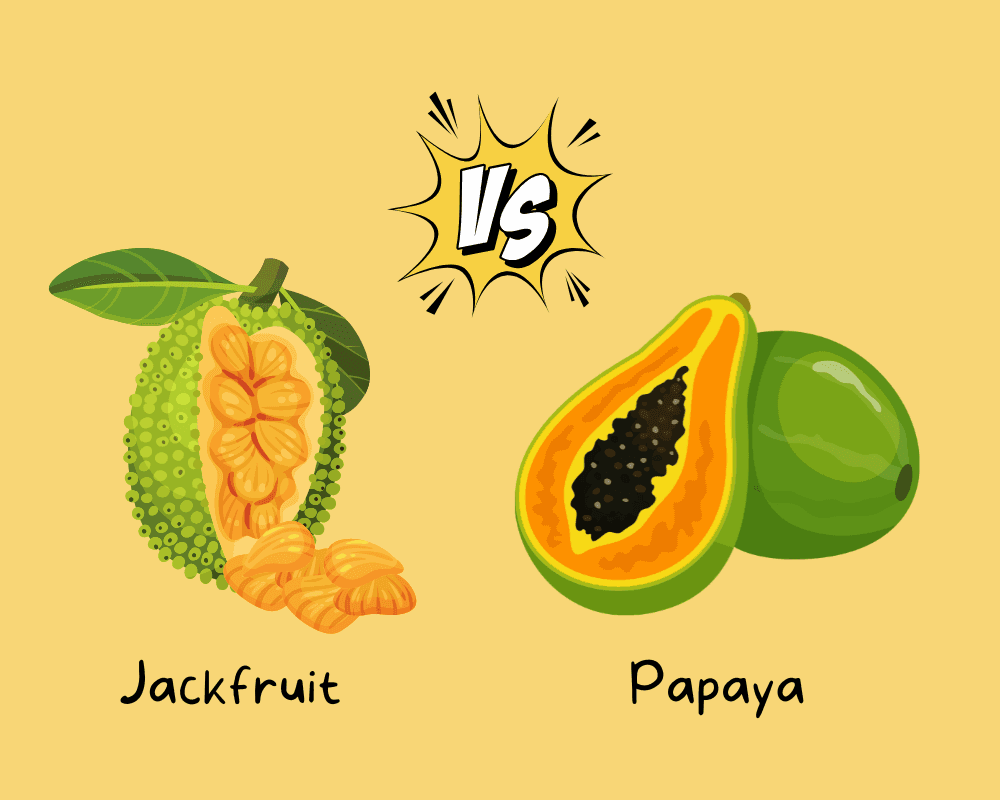 Jackfruit vs. papaya: Dva tropické světy plné chuticover